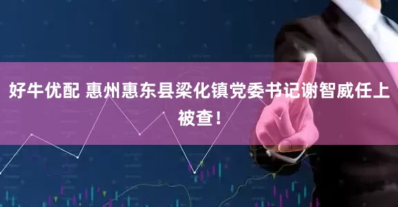 好牛优配 惠州惠东县梁化镇党委书记谢智威任上被查！