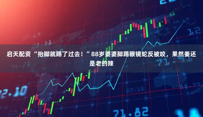 启天配资 “抬脚就踢了过去！”88岁婆婆脚踢眼镜蛇反被咬，果然姜还是老的辣